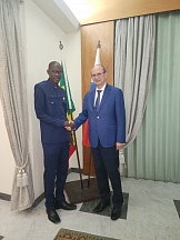 Russian Ambassador met with Mayor of Taïf